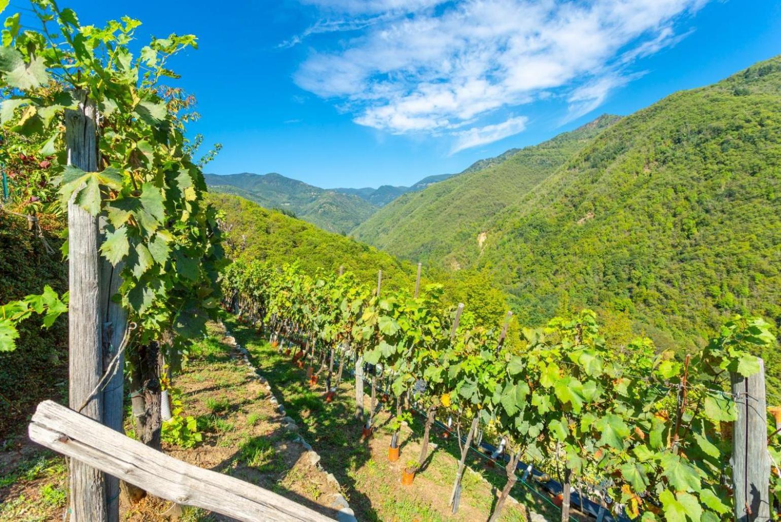 Villa Casale Le Selve 루카 외부 사진